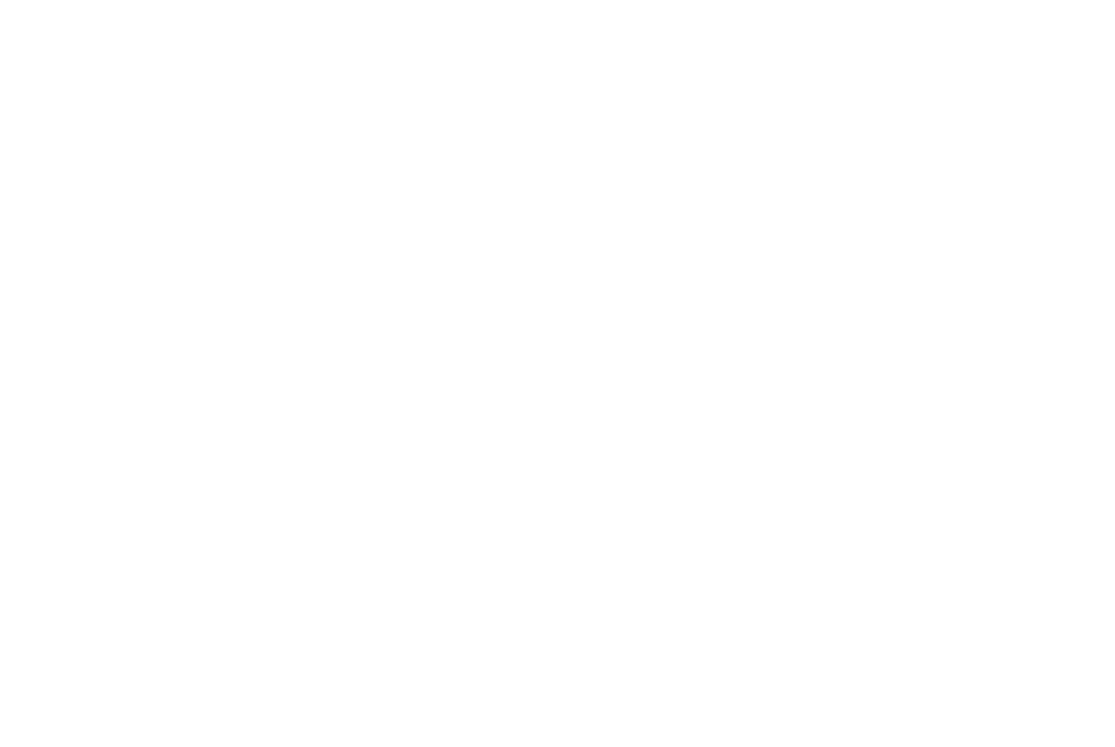 the national trading corporation logo